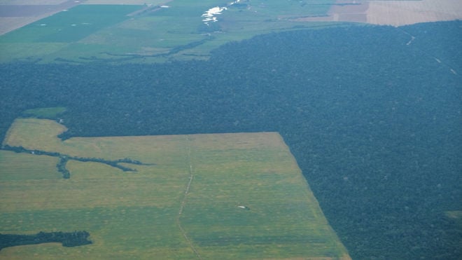 Luftfoto som viser en tydelig grense mellom tett skog og åpne jordbruksområder.