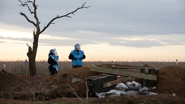 Fotografi av et landskap med en enslig, bladløs tre til venstre og to personer i blå beskyttelsesvester til høyre. De står ved et område markert med rødt og hvitt, sannsynligvis et mineryddingsområde. Bakgrunnen viser en vidstrakt eng under en overskyet himmel.