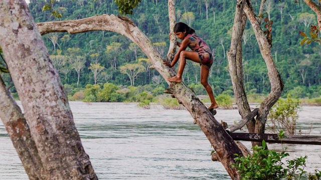 En jente klatrer barbeint på en stor, skrå trestamme over vannet ved elvebredden. Hun har på seg en fargerik sommerkjole, og er omringet av tett, grønn regnskog i bakgrunnen. Vannet flyter rolig, og trærne rundt gir et naturlig og eventyrlig preg til scenen.