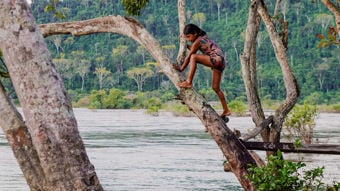 En jente klatrer barbeint på en stor, skrå trestamme over vannet ved elvebredden. Hun har på seg en fargerik sommerkjole, og er omringet av tett, grønn regnskog i bakgrunnen. Vannet flyter rolig, og trærne rundt gir et naturlig og eventyrlig preg til scenen.