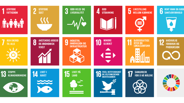 The SDGs